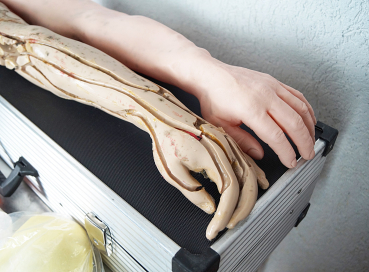 Maquet Lehrmodell Übungsarm Trainingsarm für Infusion Injektion Arm Modell
