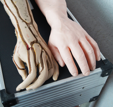 Maquet Lehrmodell Übungsarm Trainingsarm für Infusion Injektion Arm Modell