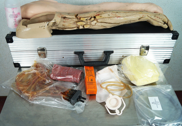 Maquet Lehrmodell Übungsarm Trainingsarm für Infusion Injektion Arm Modell