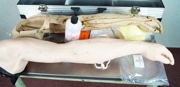 Maquet Lehrmodell Übungsarm Trainingsarm für Infusion Injektion Arm Modell