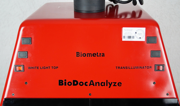 Biometra BioDoc Analyze Geldokumentation GelDoc UV Transilluminator Sony XC 75ce